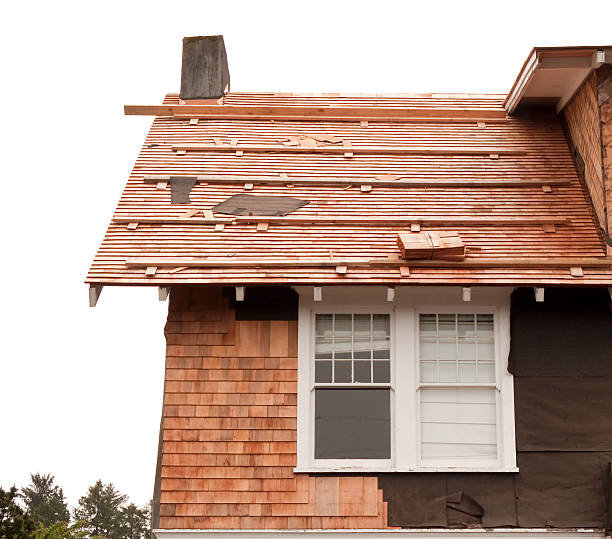 Best Siding Removal and Disposal  in Lufkin, TX